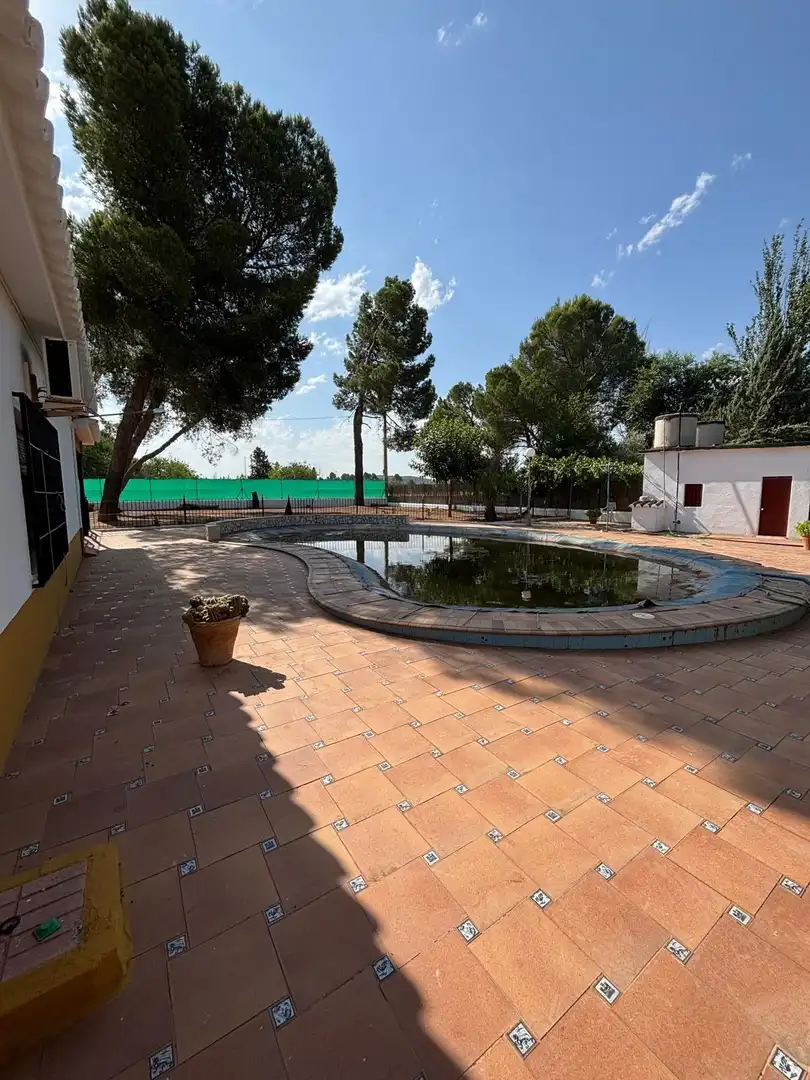 Chalet con piscina en venta en Valdepeñas, imagen 41