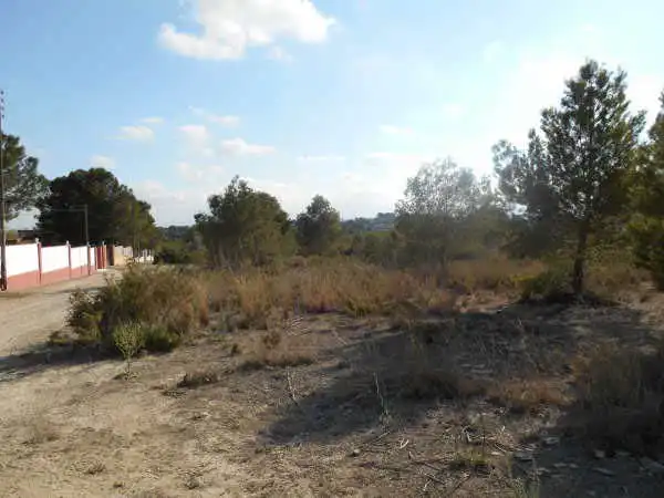 Rural land for sale in Sc R-19, Pol 29, imagen 4