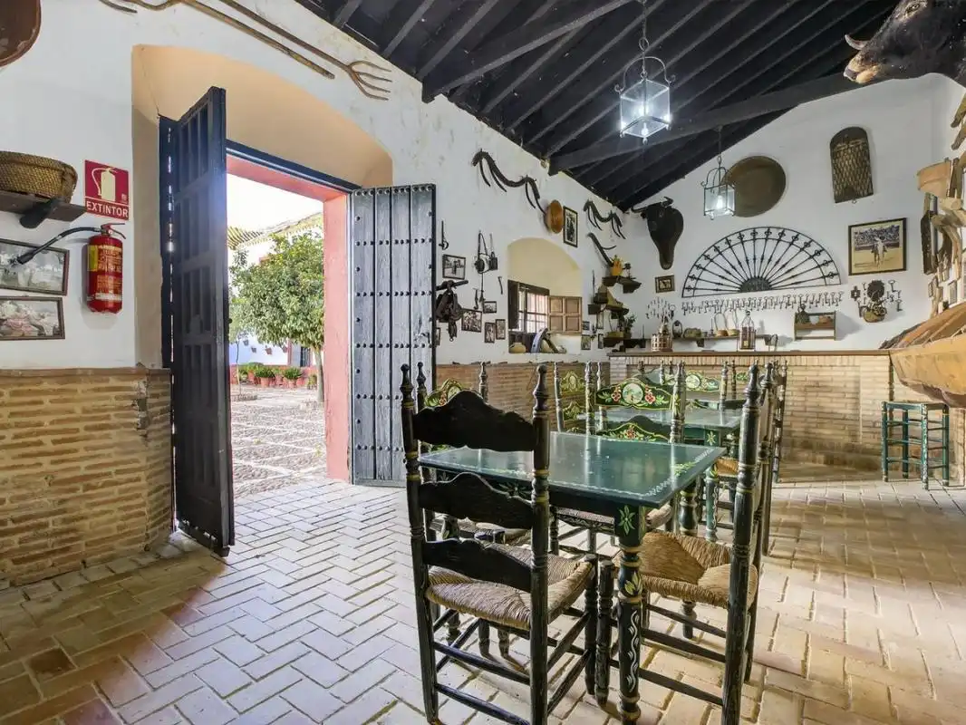 Casa rústica amb piscina en venda a Ctra. de Guadajoz, imagen 83