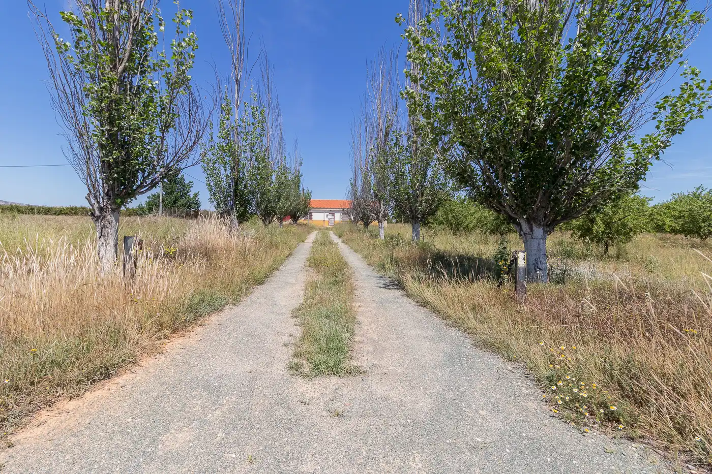 Finca rústica en venda en Mula