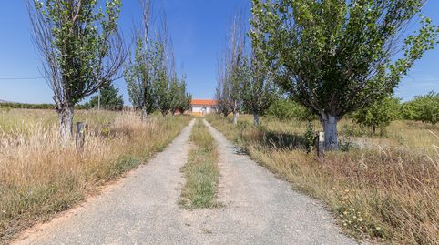Foto 4 de Finca rústica en venda a Mula, Murcia