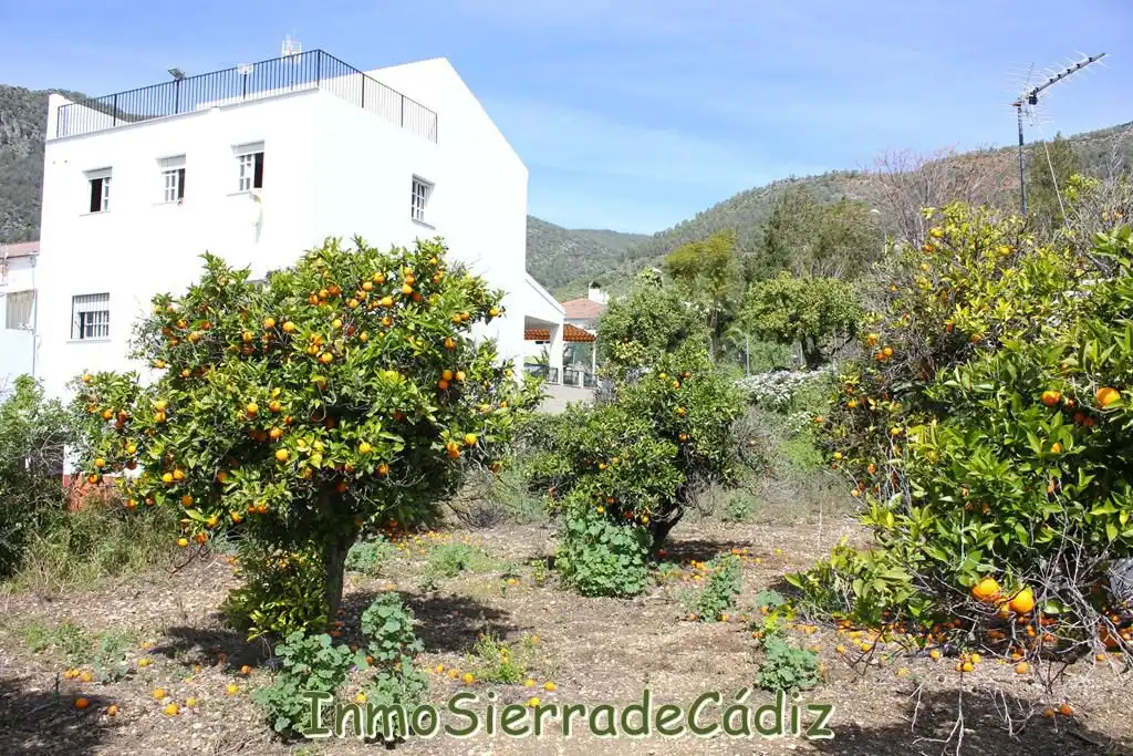 Residencial en venda a Andalucia, Torre Alháquime