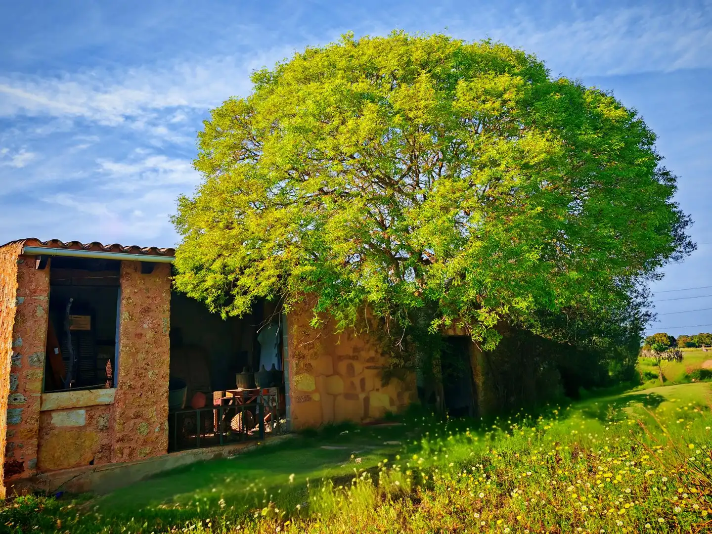 Vista exterior de Finca rústica en venta en Costitx