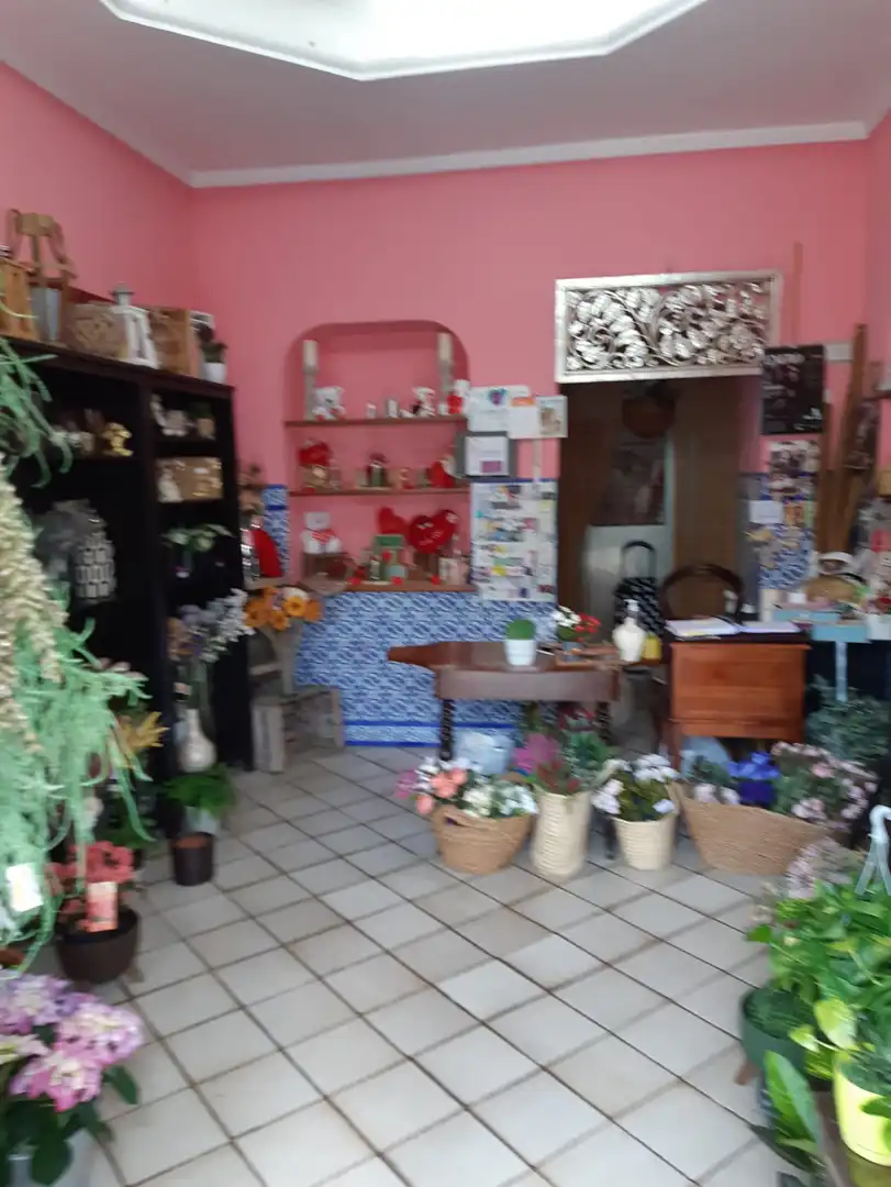 Buildings for sale in Constantina