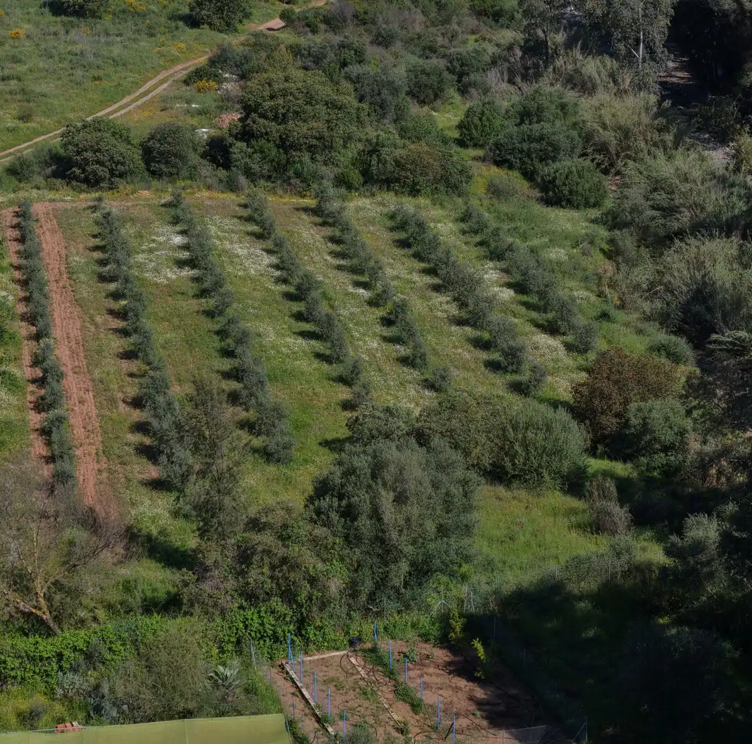 Terrenys i solars en venda a Coín, imagen 6