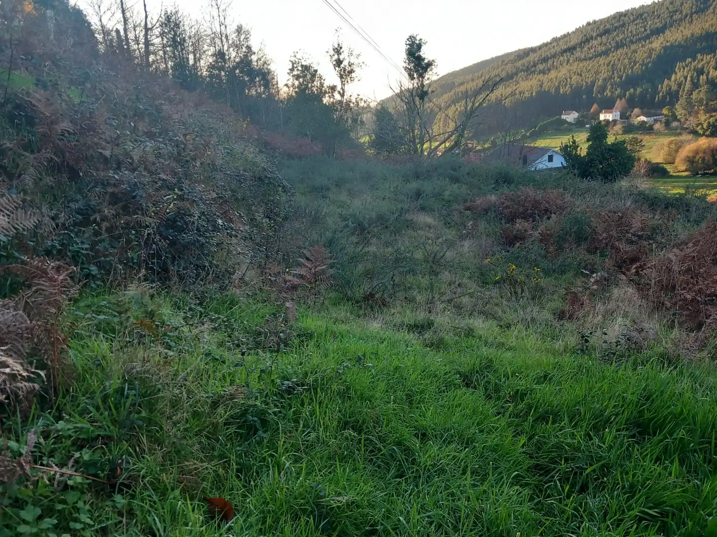 Terreno residenziale in vendita a Área Rural, imagen 6