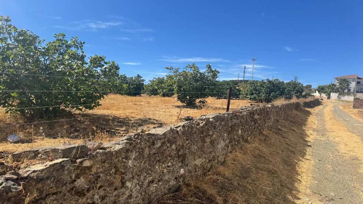 Residential for sale in Monesterio