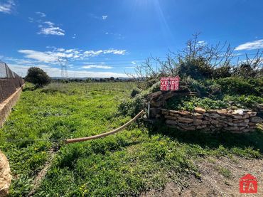 Terreno rustico in vendita a Santa Oliva