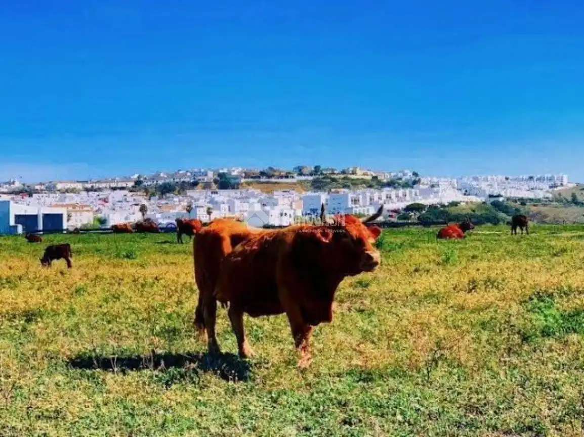 Rural land for sale in Conil, imagen 29