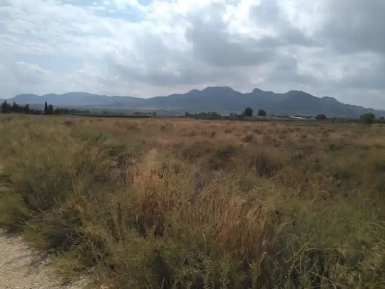 Terreny residencial en venda a Camino De Murcia
