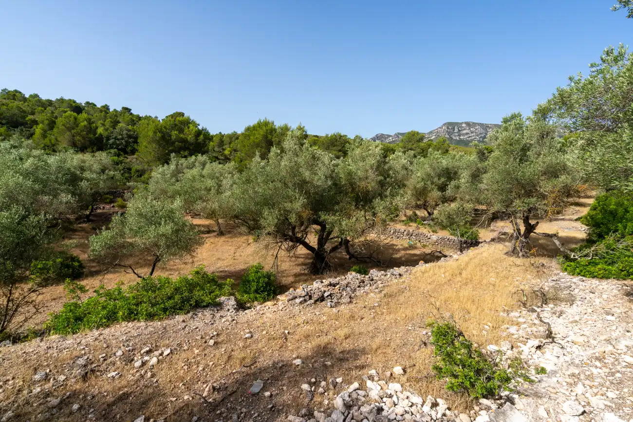 Terreno en venta en El Perelló