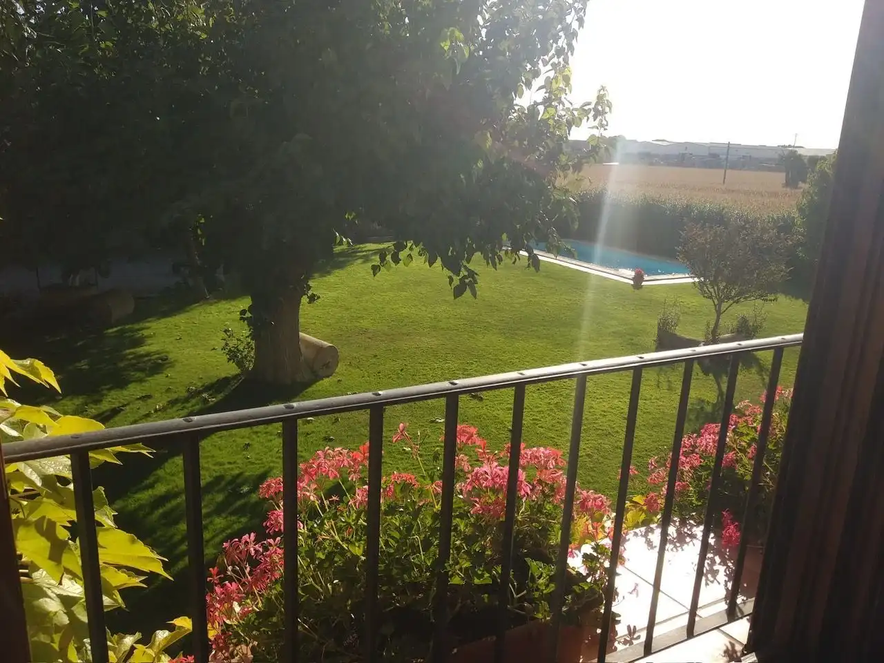 Jardí de Casa o xalet en venda en Vilanova de Bellpuig amb Calefacció, Jardí privat i Piscina