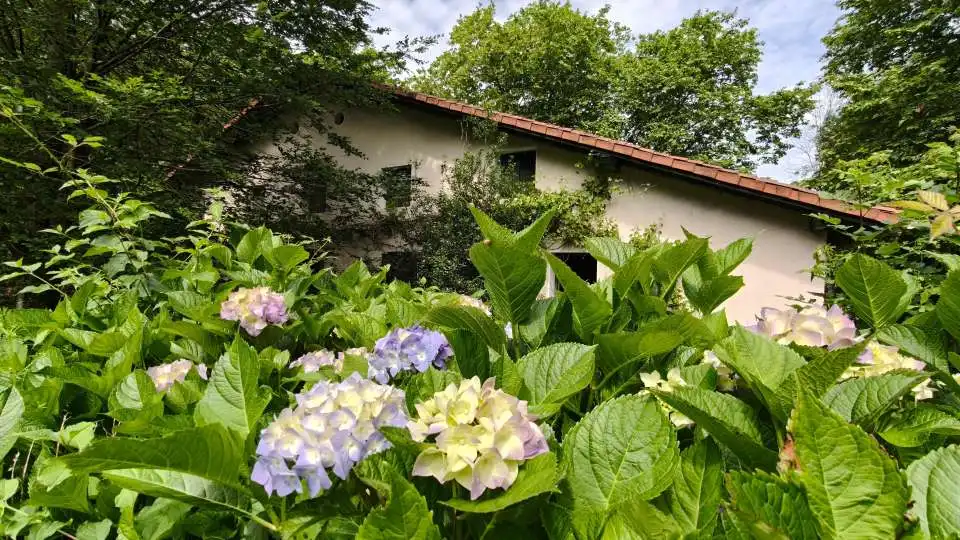 Vista exterior de Casa o chalet en venta en Hernani con Jardín privado, Terraza y Trastero