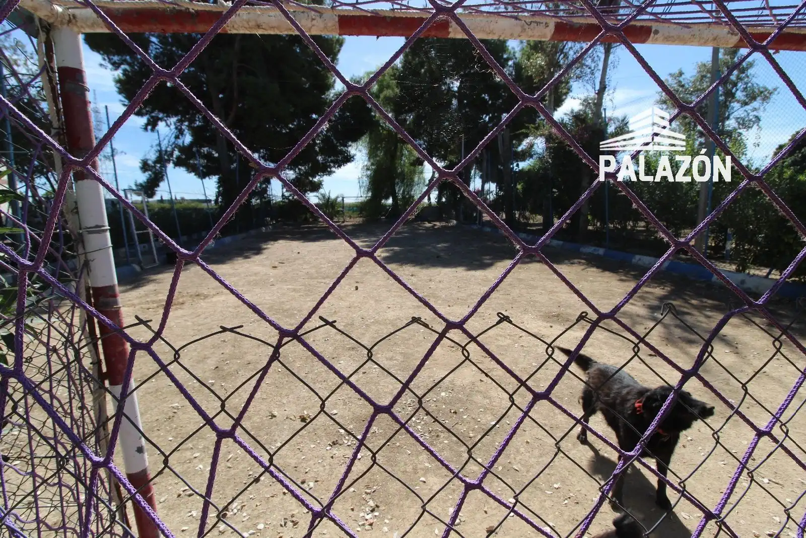 Xalet amb piscina en venda a Crevillent, imagen 18