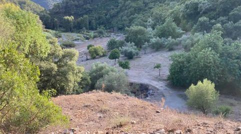 Foto 2 de Terreno en venta en Benarrabá, Málaga