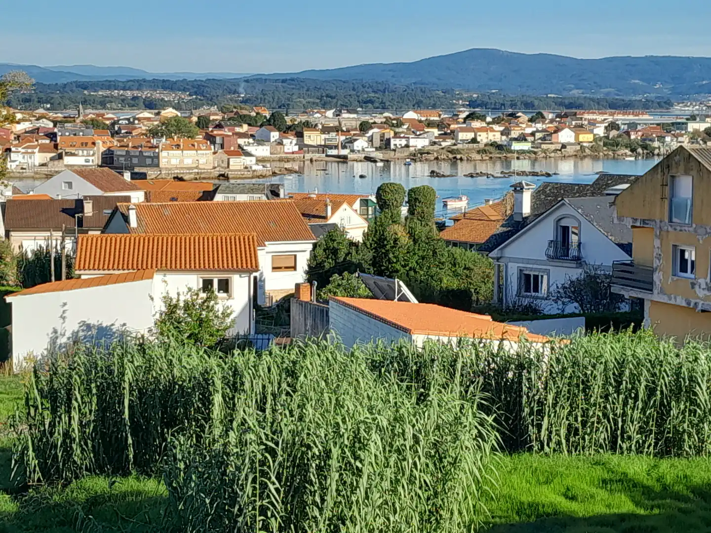Vista exterior de Casa o chalet en venta en A Illa de Arousa  con Calefacción, Jardín privado y Terraza