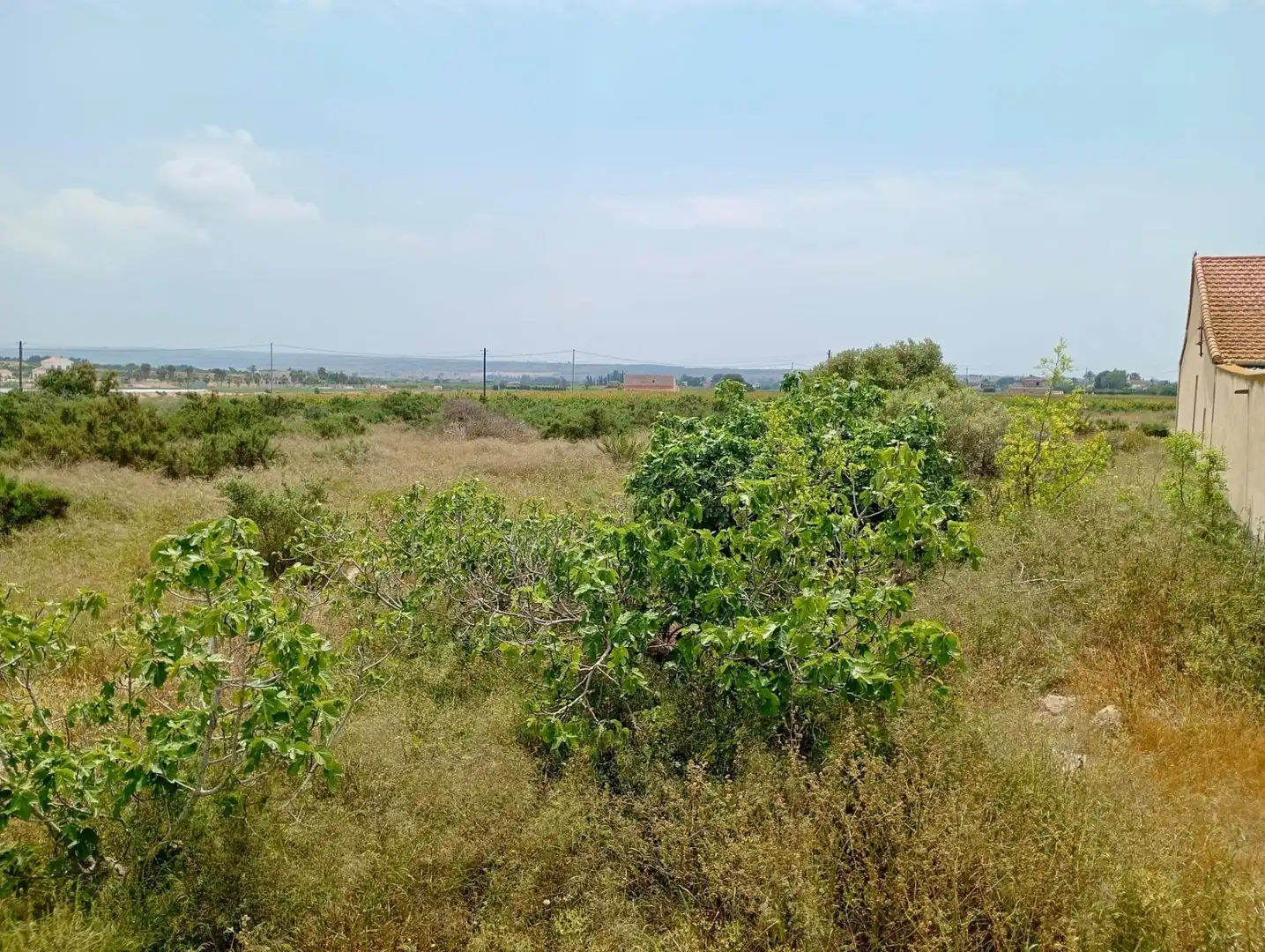 Casa o chalet en venta en Elche / Elx con Jardín privado y Trastero