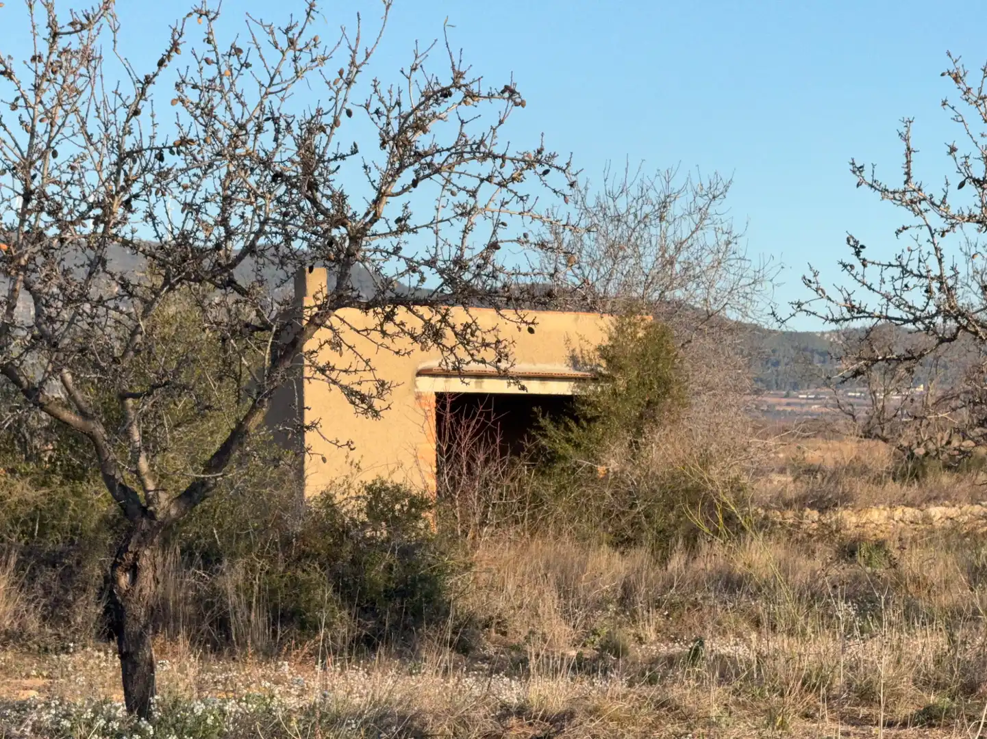 Terrain rustique à vendre à Carrer dels Teixidors, imagen 20