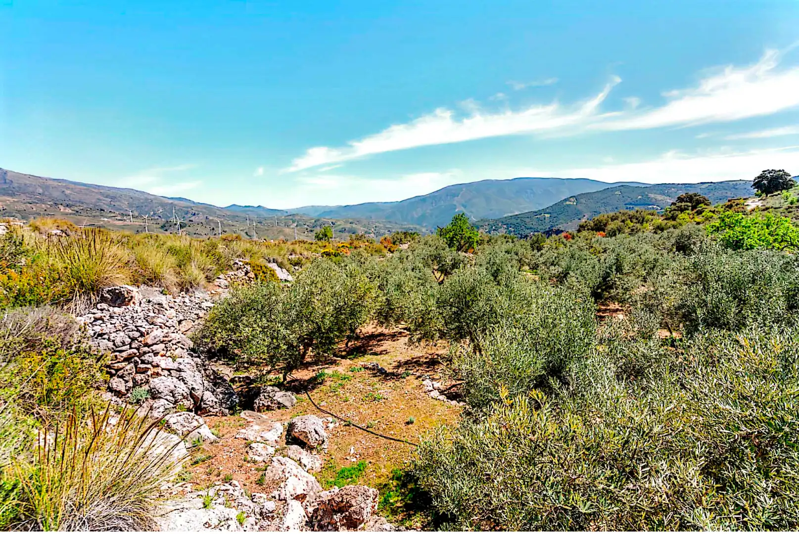 Terrain rustique à vendre à El Pinar, imagen 10