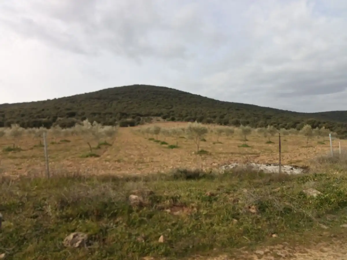 Finca rústica en venta en Fuente el Fresno