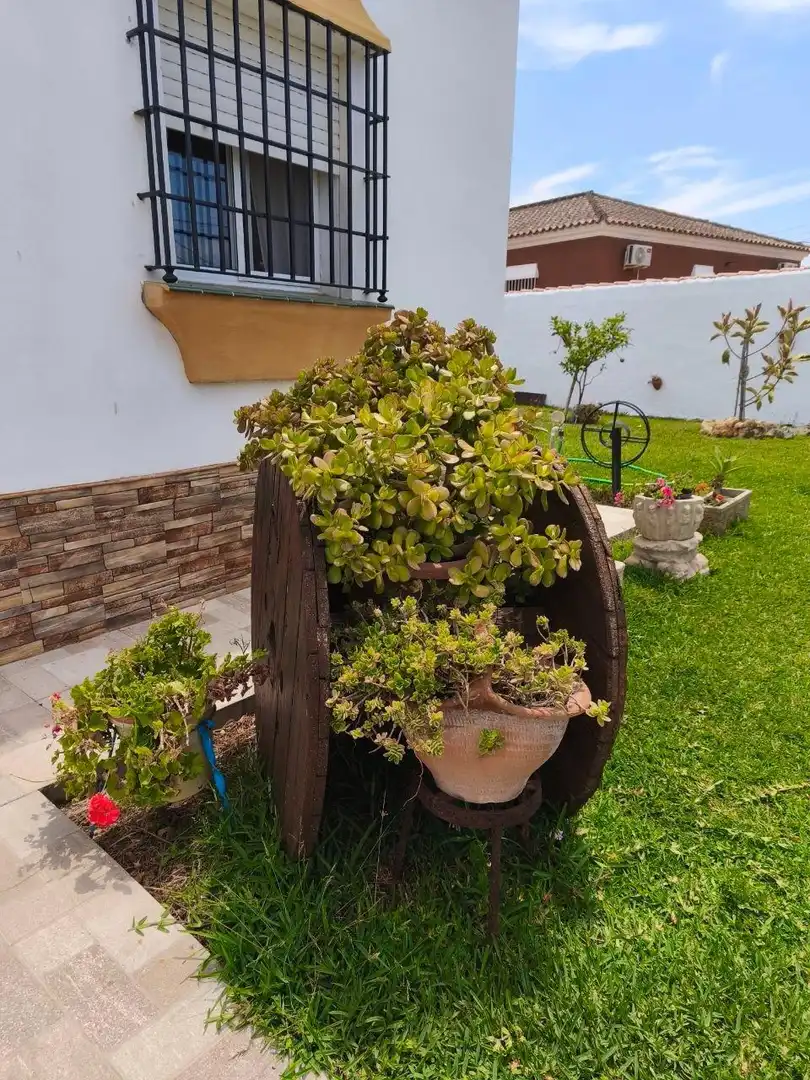 Jardín de Casa o chalet en venta en Chiclana de la Frontera con Jardín privado, Trastero y Piscina