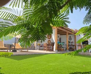Terrace of House or chalet to rent in Arucas  with Private garden, Terrace and Swimming Pool