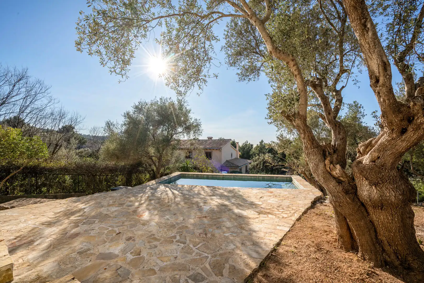 Swimming pool of Houses for sale in Valldemossa  with Terrace and Balcony