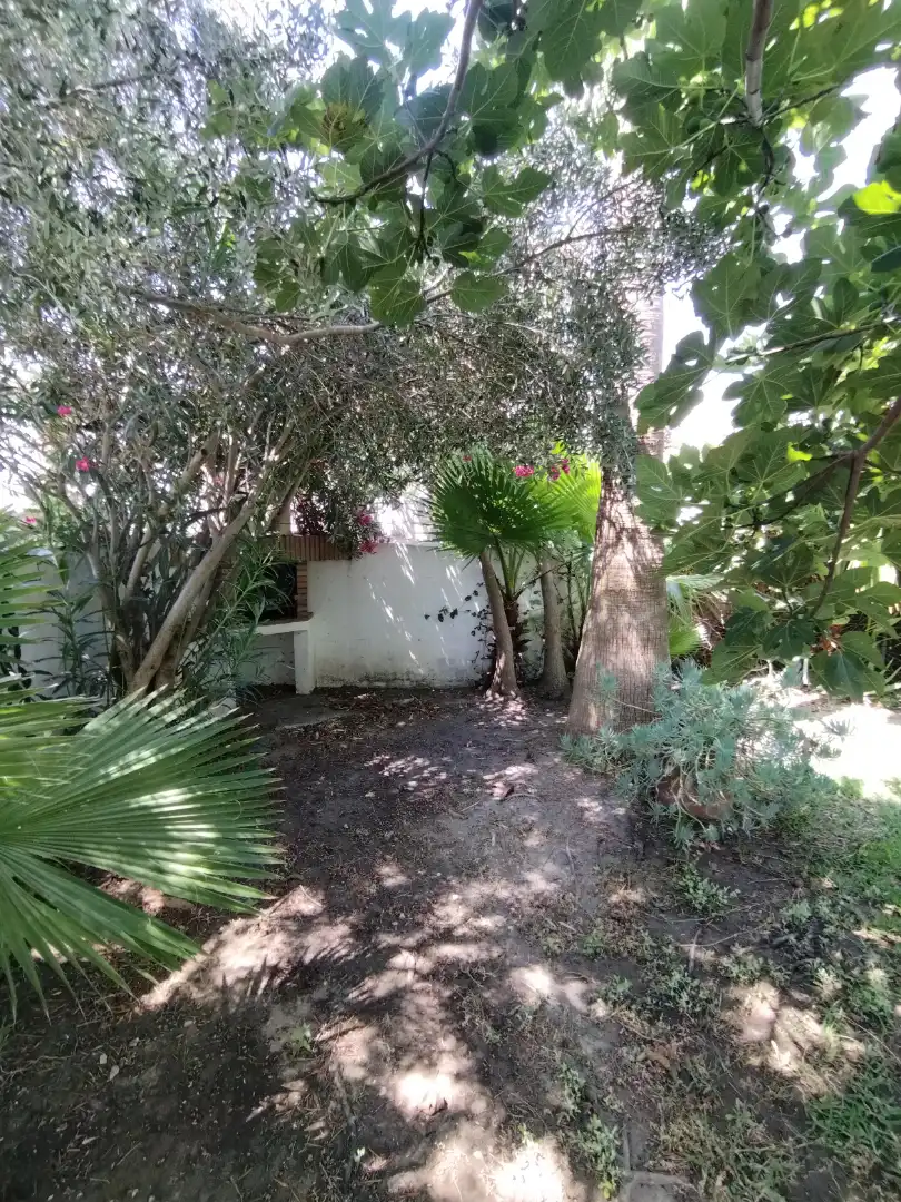 Jardí de Finca rústica en venda en Vejer de la Frontera amb Jardí privat, Terrassa i Moblat
