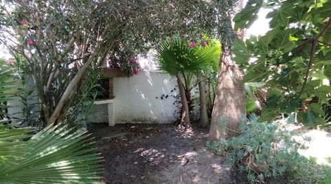 Magnifica casa rustica en parcela segregada en el Palmar, immagine 3