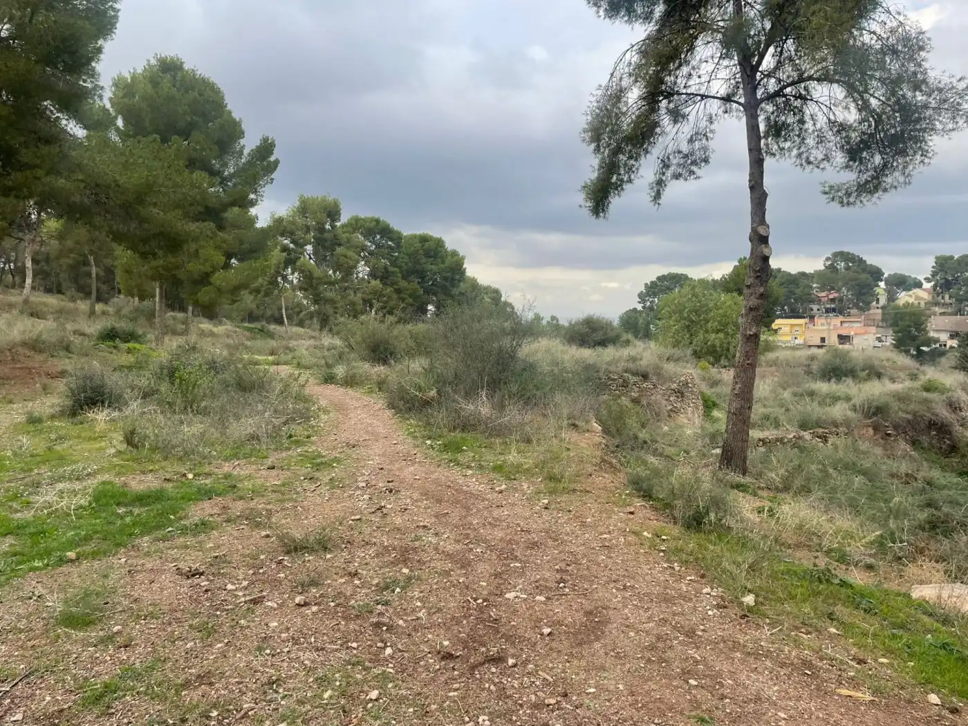 Terreno residenziale in vendita a Pedanías Este, imagen 8
