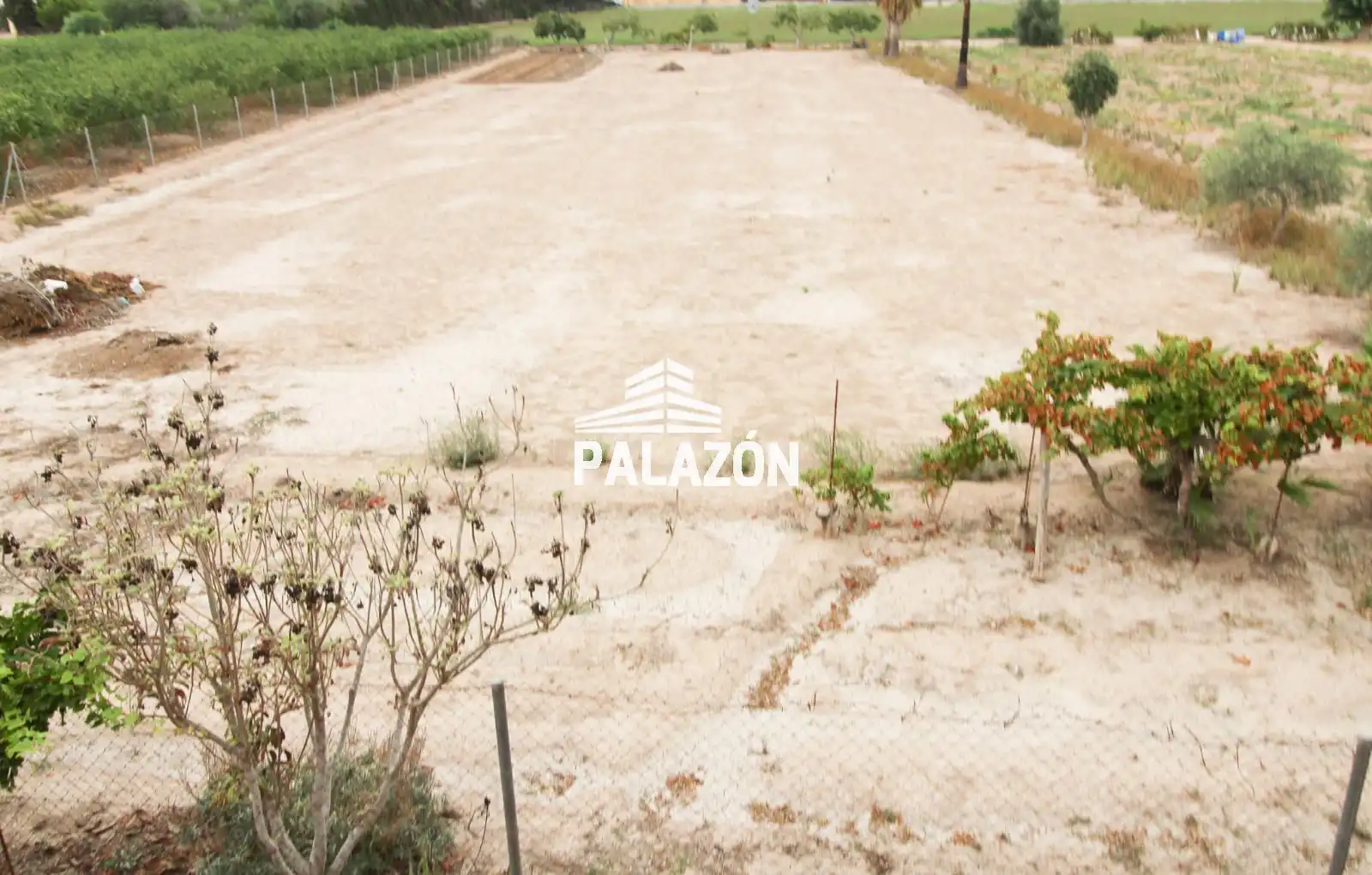 Villa in vendita a Catral, imagen 32