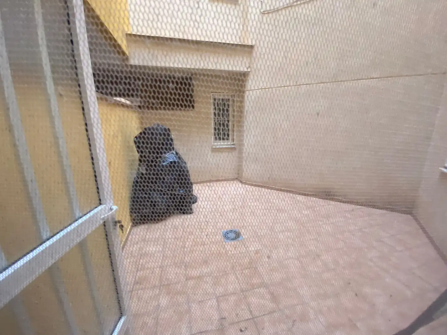 Terraza de Casa o chalet de alquiler en Orihuela con Calefacción, Jardín privado y Trastero