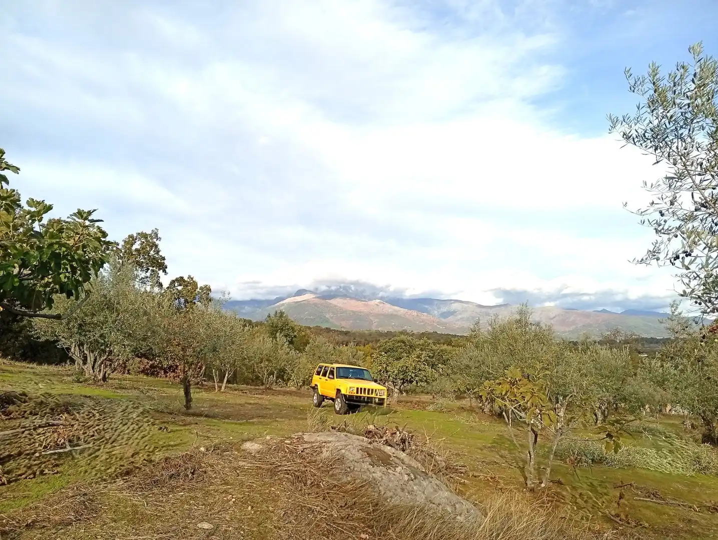 Terreni e lotti in vendita a Villanueva de la Vera