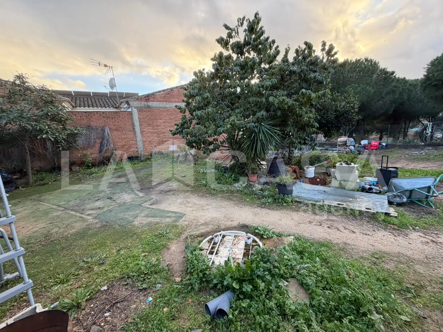 Terreni e lotti in vendita a Taraguilla- Estación, imagen 4