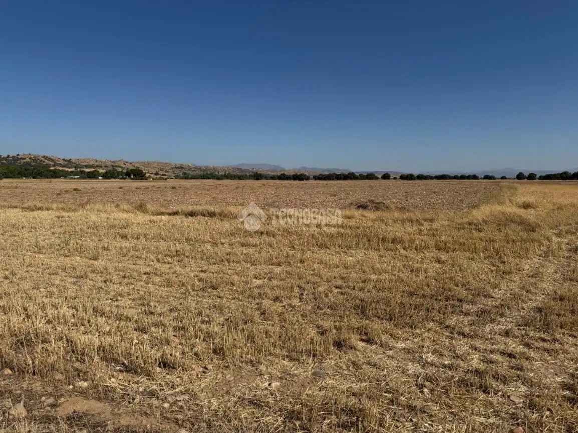 Terreny rústic en venda a Fuente El Saz de Jarama, imagen 3