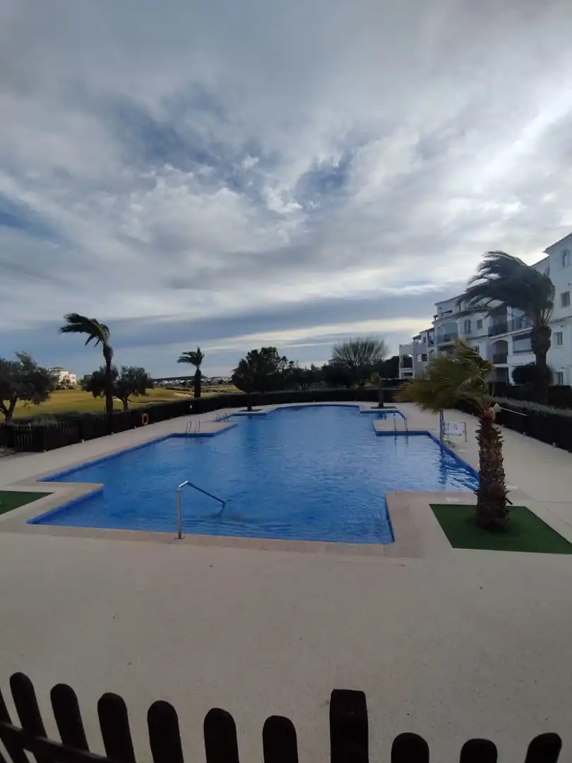 Swimming pool of Apartments for rent in Murcia  with Air Conditioner, Terrace and Furnished