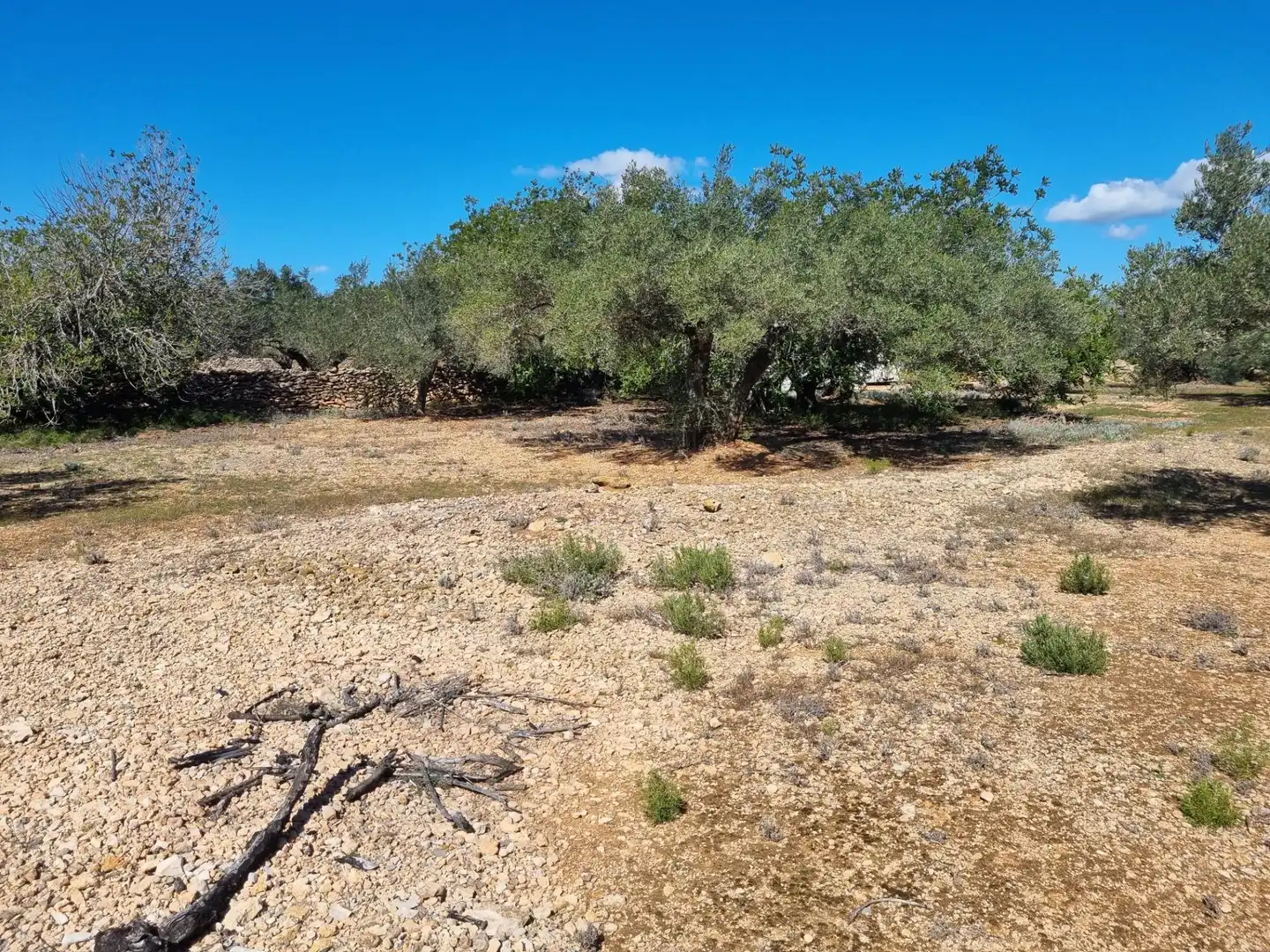 Terreno rustico in vendita a El Perelló, imagen 9
