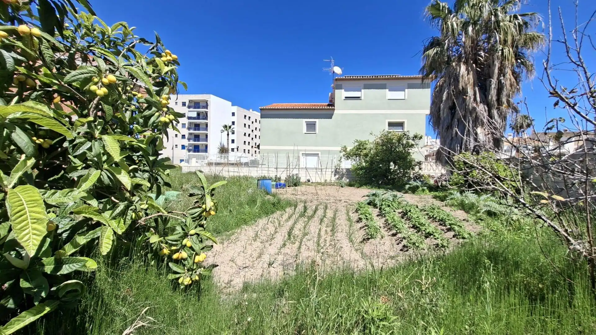 Terreny residencial en venda a Miramar, imagen 2
