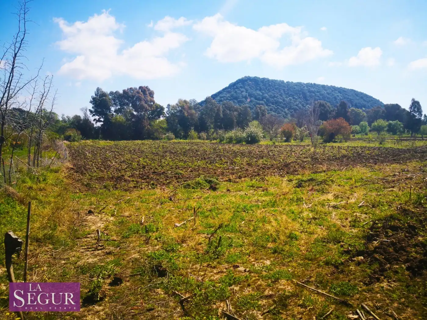Terrain rustique à vendre à Vejer, imagen 3