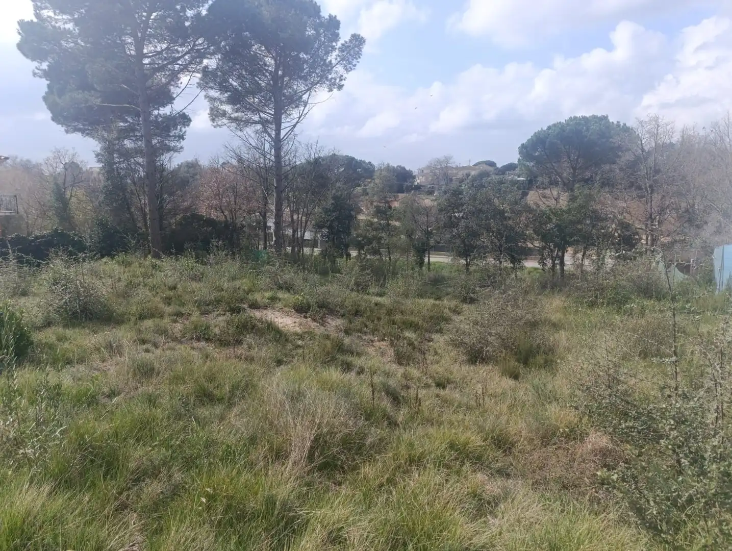 Residential land for sale in Sils