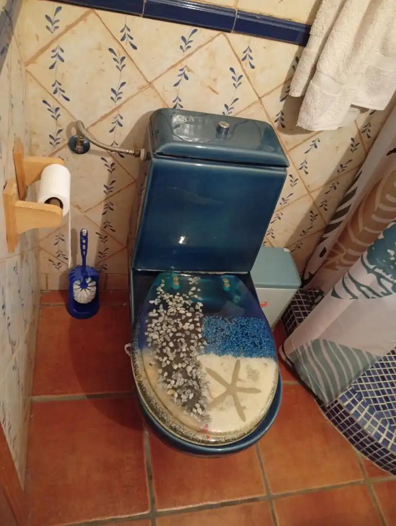 Baño de Finca rústica en venta en Jete con Terraza, Piscina y Amueblado