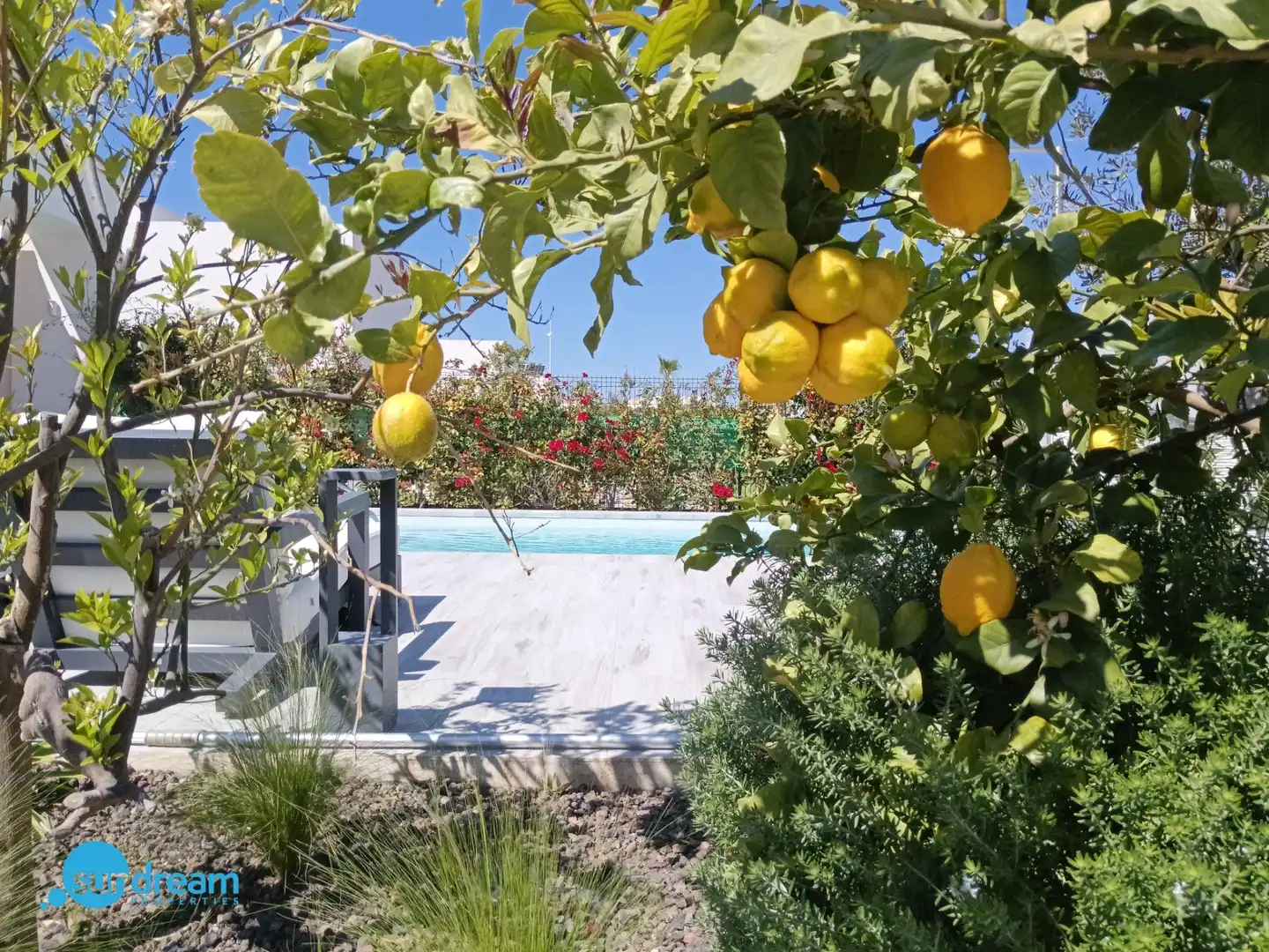 Jardín de Casa o chalet en venta en Algorfa con Aire acondicionado, Calefacción y Jardín privado