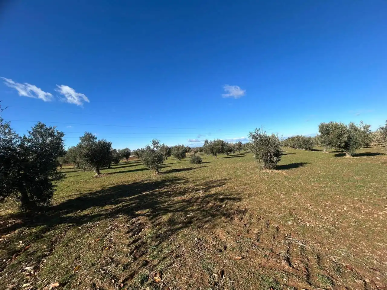 Terreni e lotti in vendita a Burguillos de Toledo, imagen 20