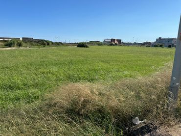 Terreno rústico en venta en Camí del Pla 81