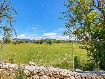 Rustikales Grundstück zum Verkauf in Llucmajor - Polígono 43 Parcela 38 SON NOGUERA