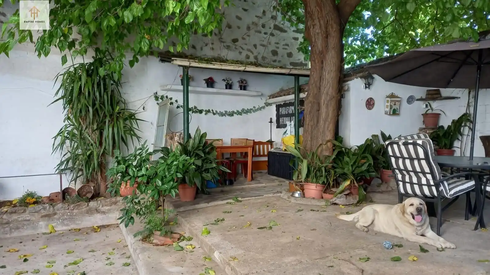 Jardí de Casa o xalet en venda en Brozas amb Moblat i Balcó