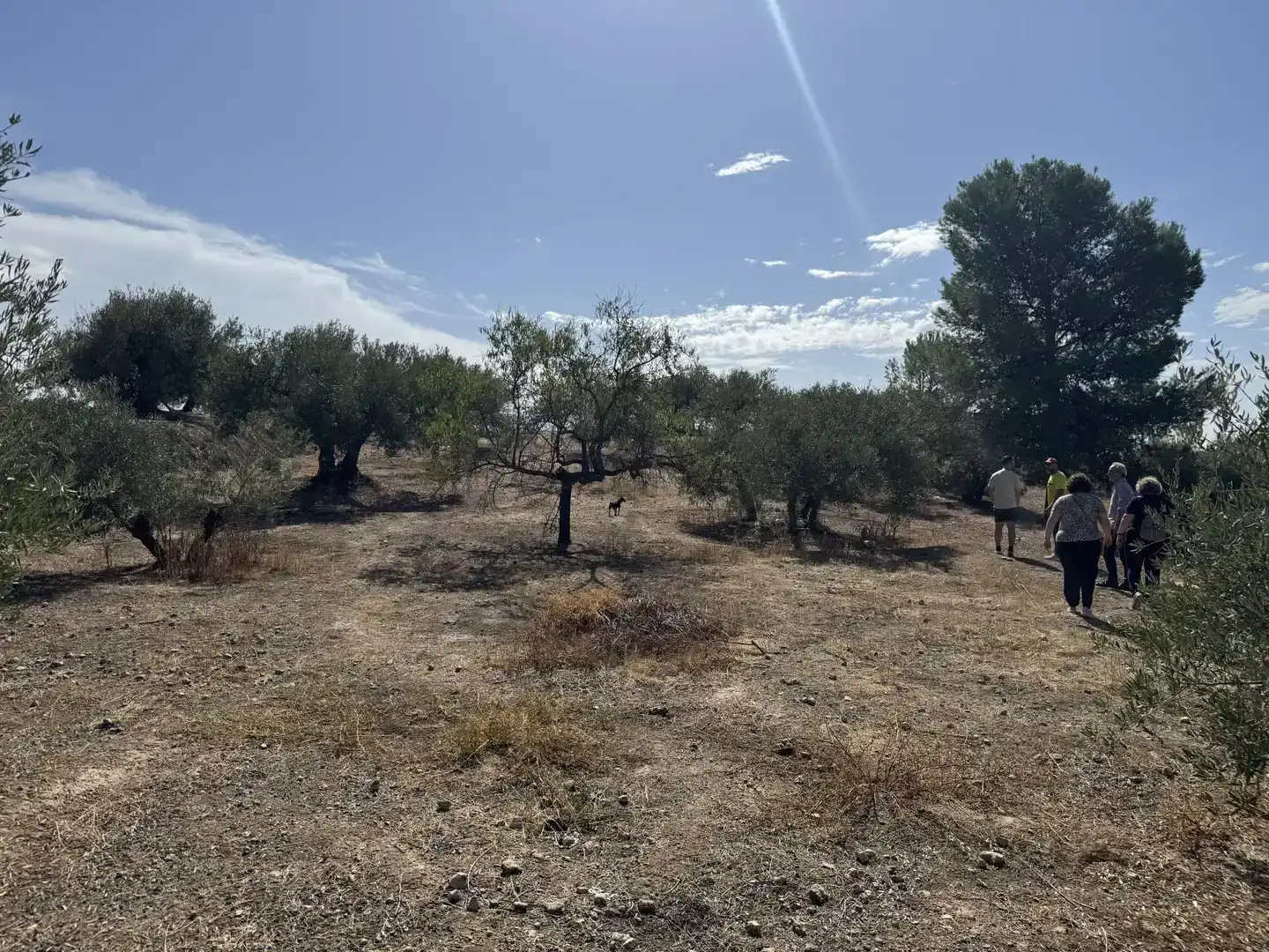Finca rústica en venda en Peligros, Granada