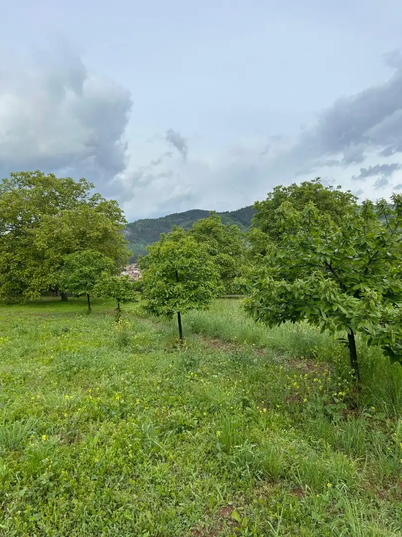 Residencial en venta en Estollo