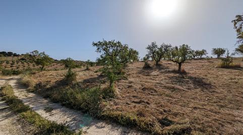 Foto 5 de Residencial en venta en  Extrarradio, Jayena, Granada