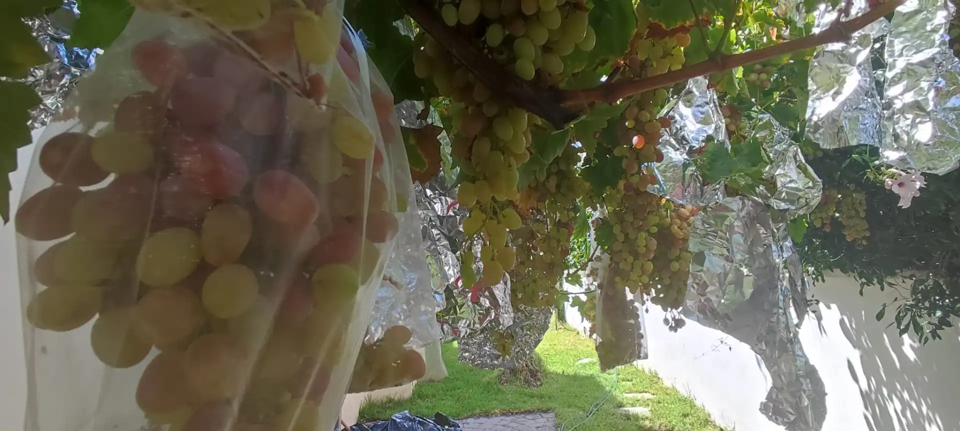 Jardí de Casa adosada en venda en Espartinas amb Aire condicionat, Calefacció i Jardí privat